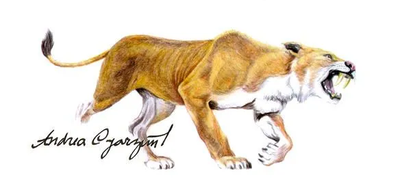 Tigre dientes de sable by andrea-oyarzun on DeviantArt Tigre dientes de sable by andrea-oyarzun on DeviantArt
