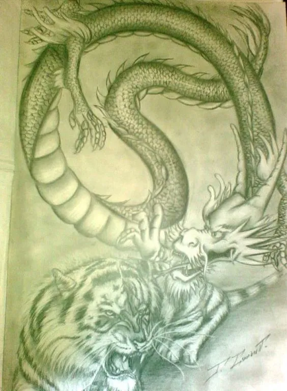 Dibujos de tigres y dragones a lapiz - Imagui