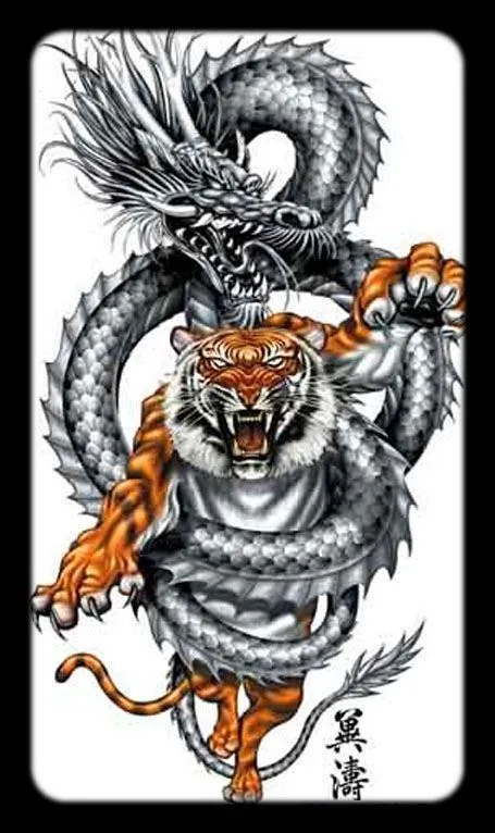 Tigre et dragon - Imagui