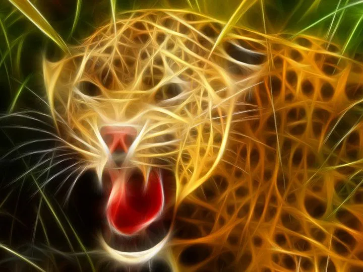 TIGRE FOSFORESCENTE | WAF