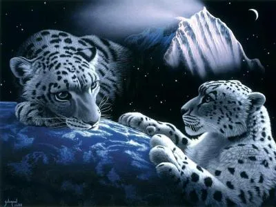 el Tigre es el mas grande. En su estado salvaje, el Tigre de Siberia ... el Tigre es el mas grande. En su estado salvaje, el Tigre de Siberia ...
