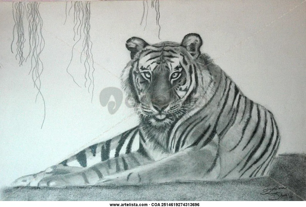 Tigre Inma Sharii - Artelista.