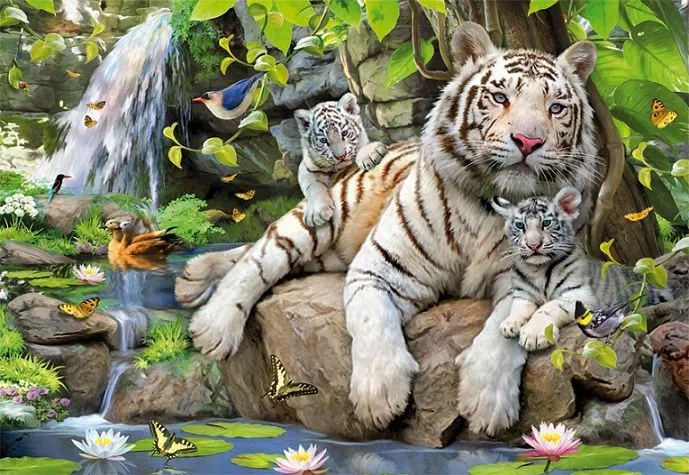 Tigre bengala blanco bebé - Imagui