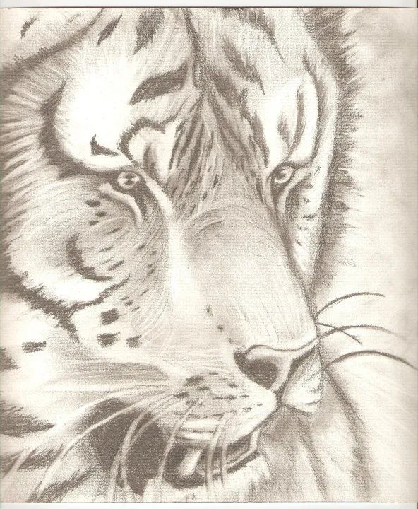 Tigre Joseph Isambertt - Artelista.