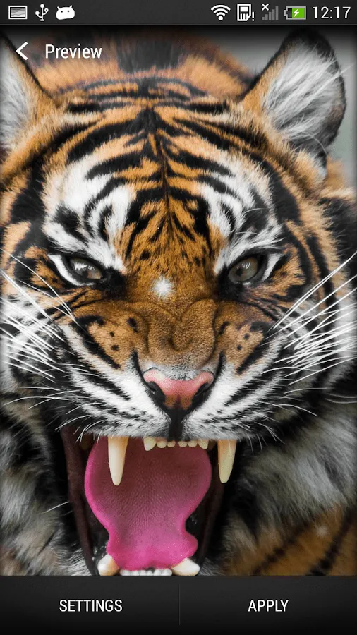 Tigres Fondo Animado - Aplicaciones de Android en Google Play
