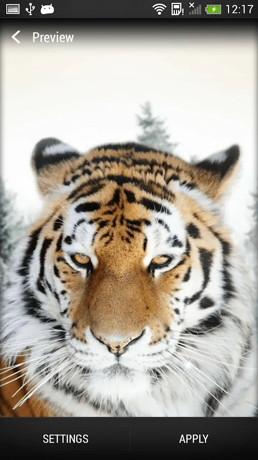 Tigres Fondo Animado - Aplicaciones de Android en Google Play