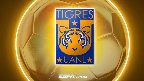 Tigres, a justificar sus fichajes para brillar en el Apertura 2015 ...