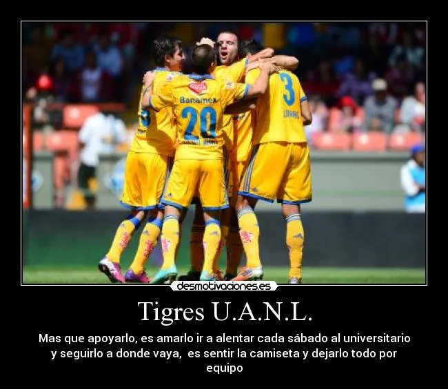 Tigres U.A.N.L. | Desmotivaciones