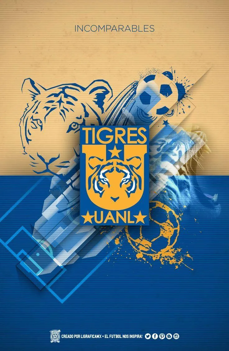 Tigres UANL Wallpapers - Wallpaper Cave