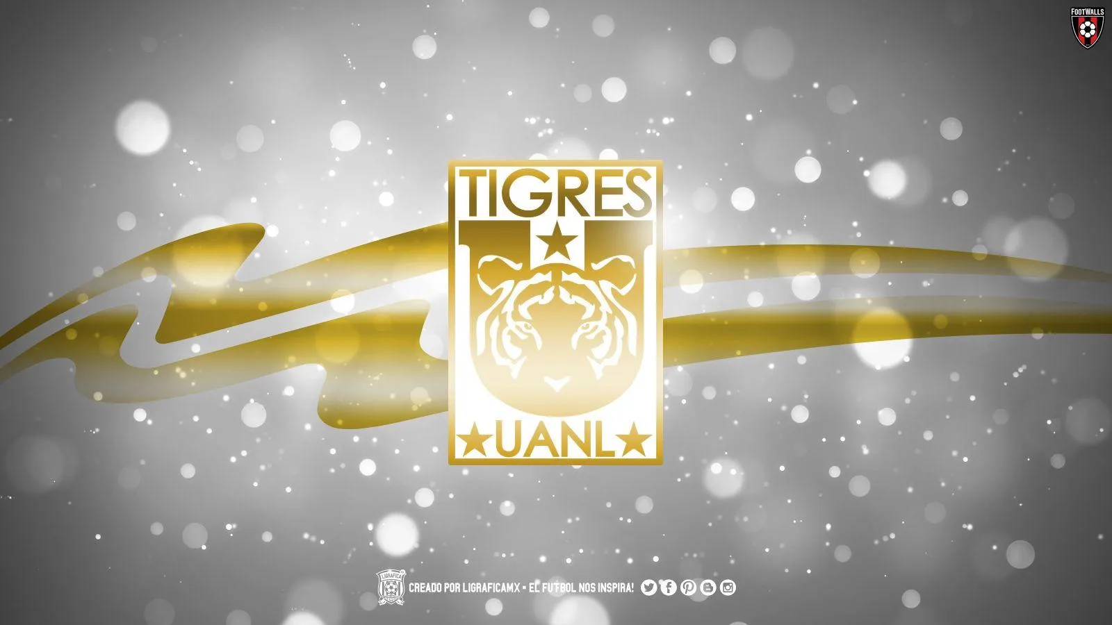 Tigres UANL Wallpapers - Wallpaper Cave