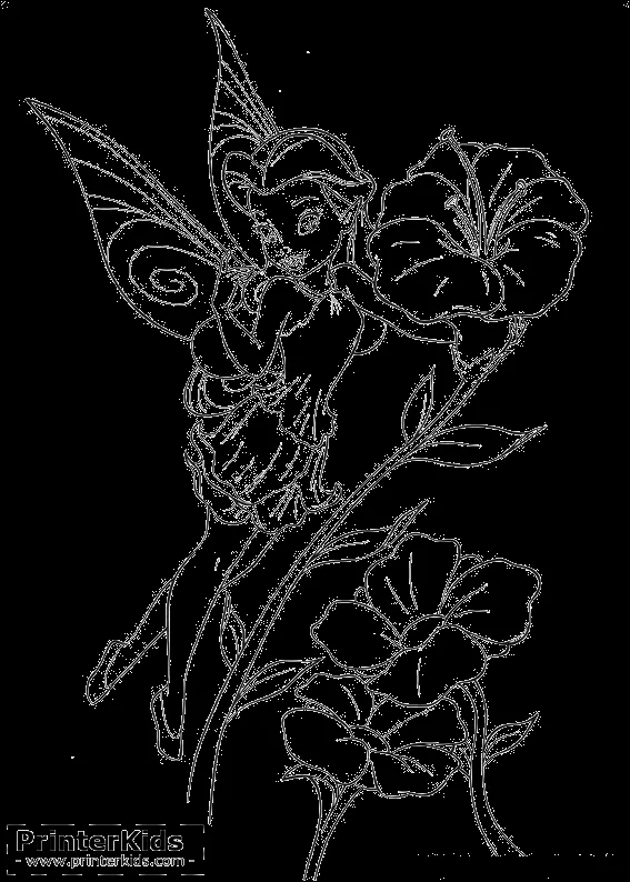 tinkerbell-056.png