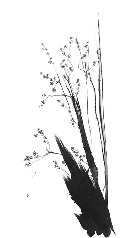 Tinta China y Nogalina