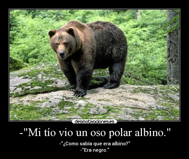 Mi tío vio un oso polar albino." | Desmotivaciones