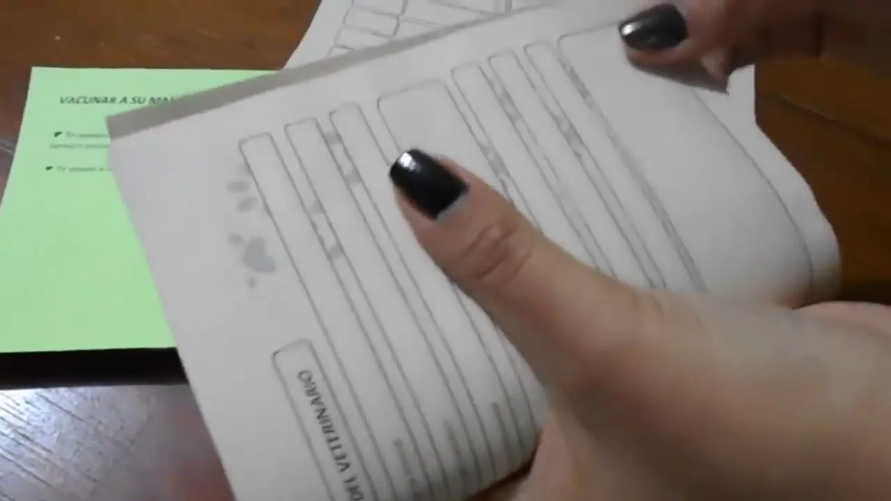 TIP: CALENDARIO DE VACUNAS PARA PERROS Y CACHORROS | ANIMALTIME TIP: CALENDARIO DE VACUNAS PARA PERROS Y CACHORROS | ANIMALTIME