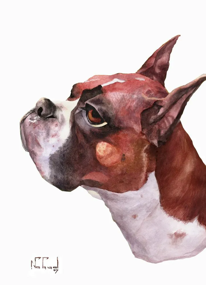 Tip Caricaturas: Caricatura de perros