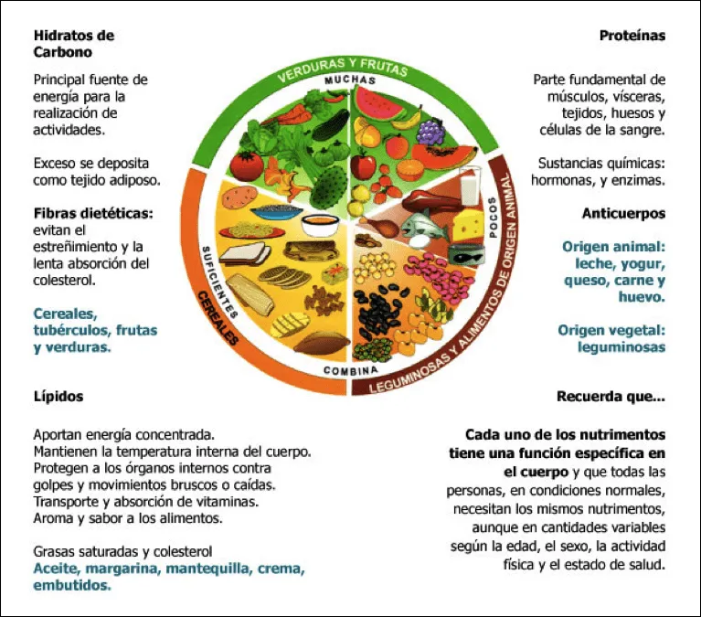 Tip: Plato del bien comer y pirámide nutricional « Zwan