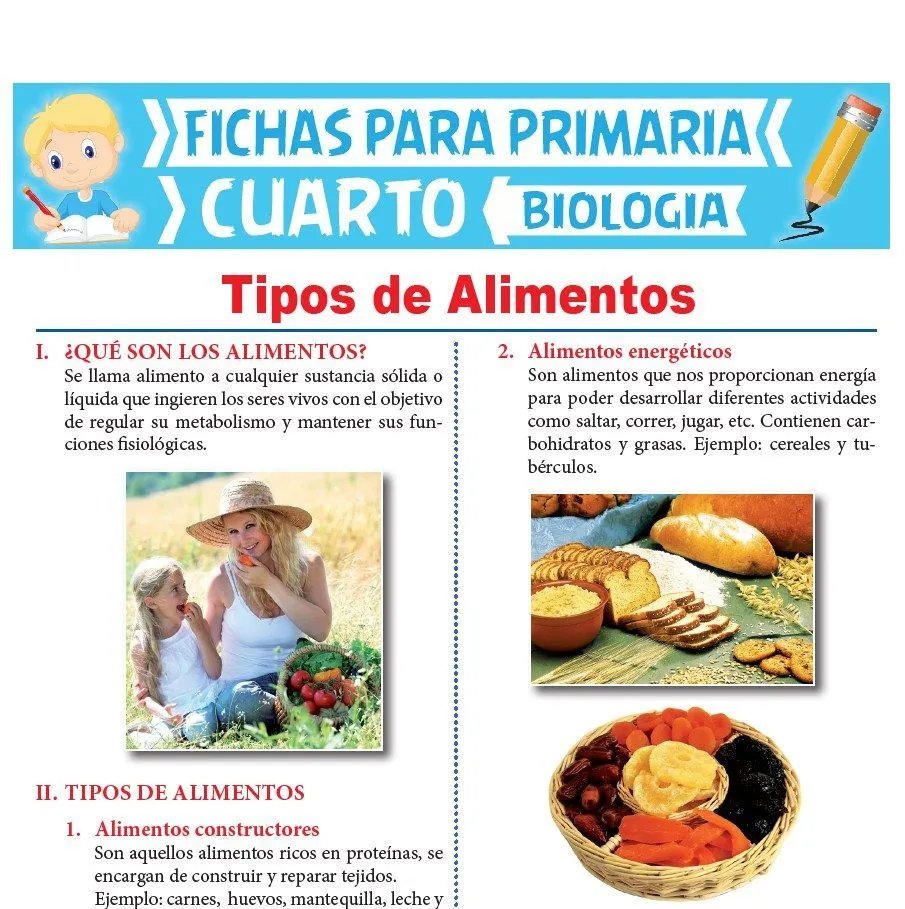 Tipos de Alimentos para Cuarto de Primaria | Actividades Educativas Tipos de Alimentos para Cuarto de Primaria | Actividades Educativas