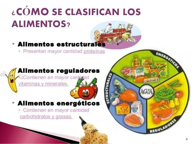 Tipos de alimentos energeticos constructores y reguladores - Imagui