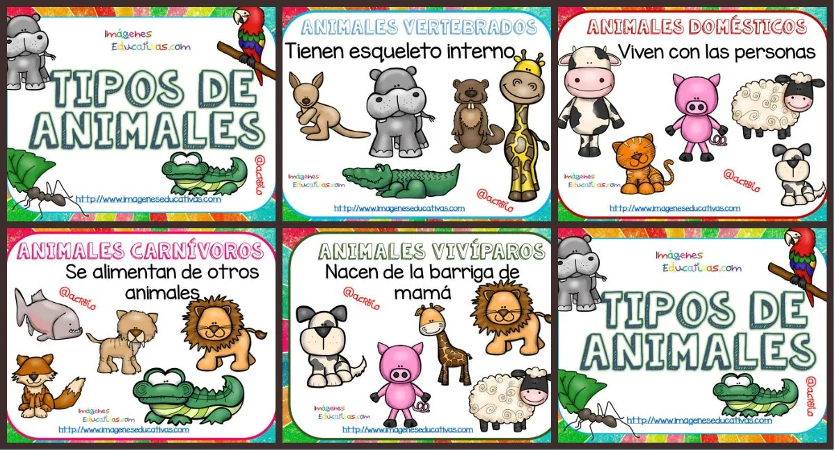 Tipos de animales Tarjetas explicativas Clasificación – Imagenes Educativas Tipos de animales Tarjetas explicativas Clasificación – Imagenes Educativas