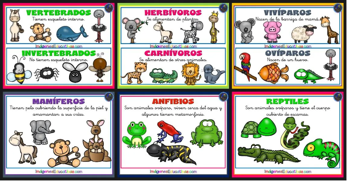 Tipos de animales TARJETAS PARA PLASTIFICAR – Imagenes Educativas Tipos de animales TARJETAS PARA PLASTIFICAR – Imagenes Educativas