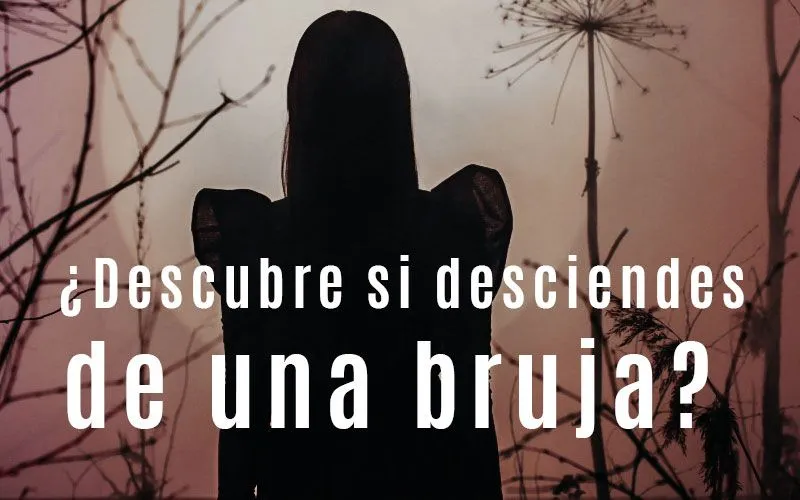 ▷ Tipos de Brujas que puedes ser | Haz el test