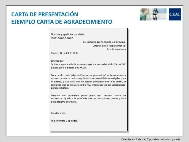 tipos-de-curriculum-y-carta-14 ...