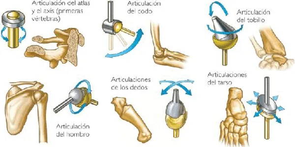 Tipos-de-movimiento-de-las- ...