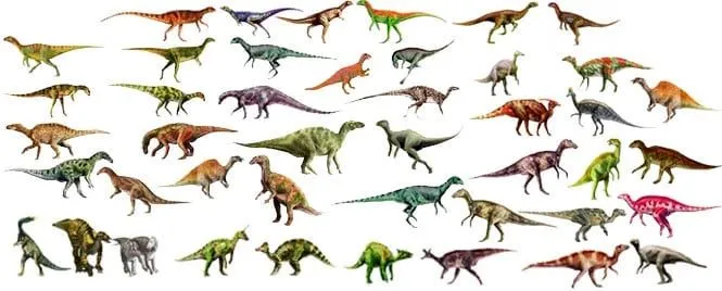 Tipos de dinosaurios | Dinosaurios