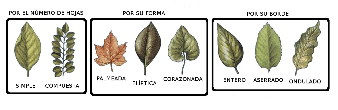 Repaso de 4º :: ClarínDigital - Quinto