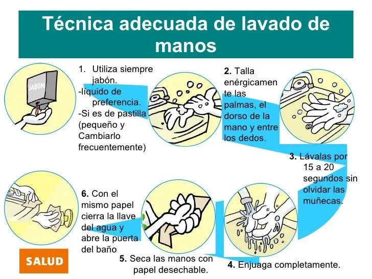 1 Tipos Influenza Sintesis