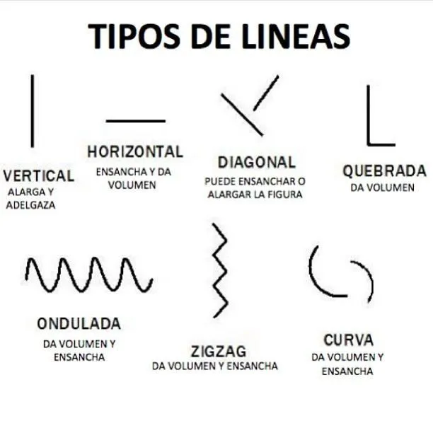 Tipos de líneas | Asesoria de Imagen | Pinterest