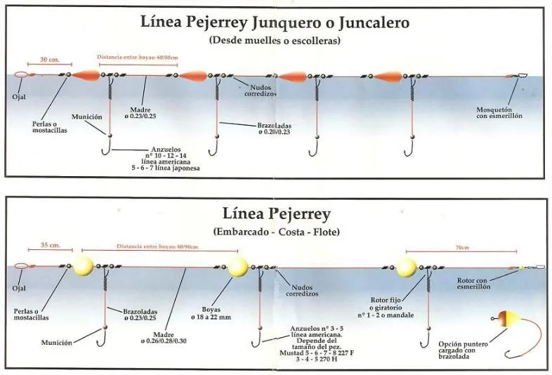 Tipos de lineas | PESCADOR DEPORTIVO