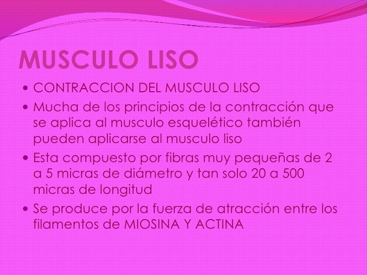 Tipos de musculo liso