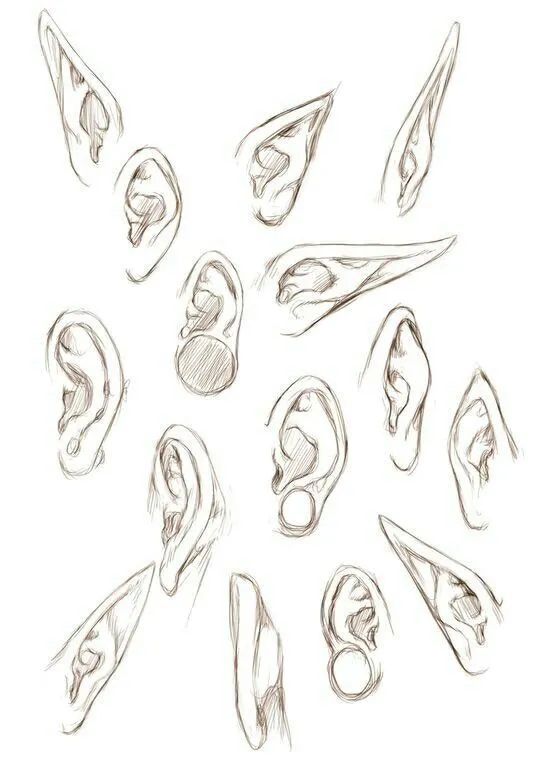 Tipos de orejas | Cartoon Cool | Pinterest | Ears, Elf Ears and Elf
