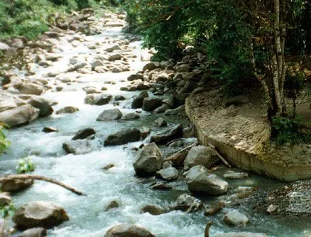 Tipos de ríos Tipos de ríos