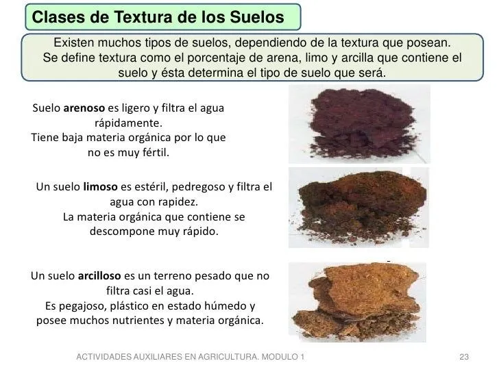 Tipos de suelos
