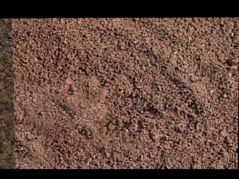 Tipos de suelos - YouTube