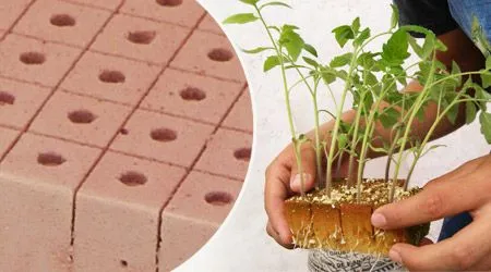 Tipos de sustratos para Hidroponia : .: Hydro Environment .: Tipos de sustratos para Hidroponia : .: Hydro Environment .: