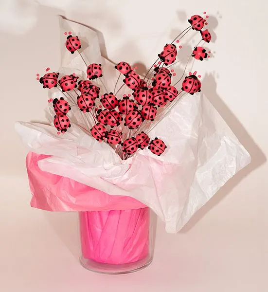 Copón de Vaquitas de San Antonio | EcoPrint