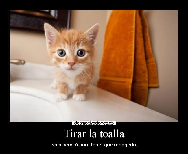 Tirar la toalla | Desmotivaciones