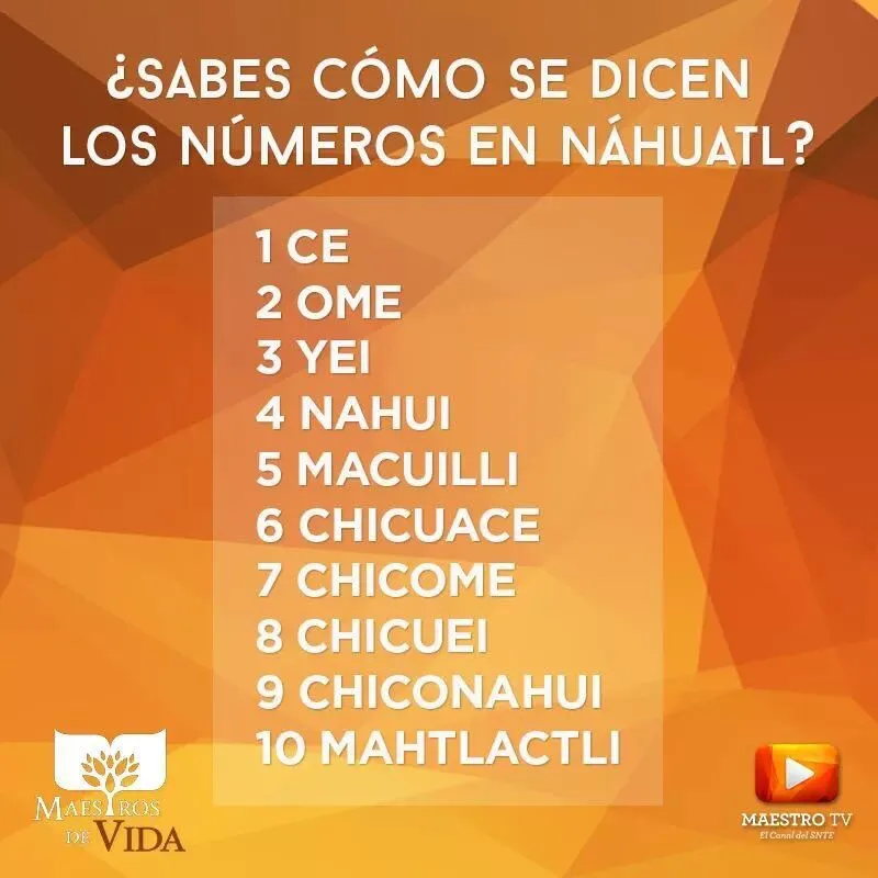 Tlatoani_Cuauhtemoc on X: Tlatoani_Cuauhtemoc on X: