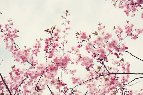тнιик ιи ριик ♥: marzo 2012