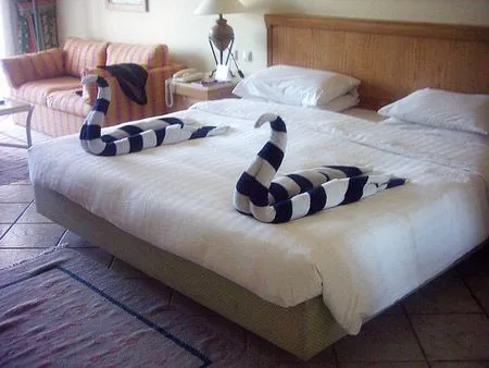 TOALLA CISNE ORIGAMI CON TOALLAS TOWEL ORIGAMI : DECORACION CON ...