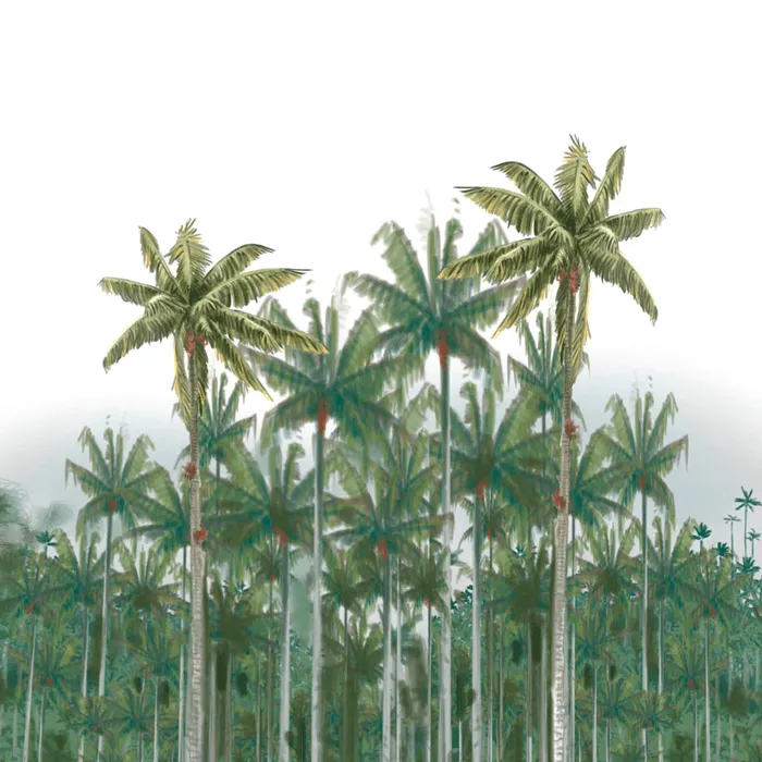 Tochecito: una oportunidad de conservación de nuestro árbol nacional | Biodiversidad 2020 Tochecito: una oportunidad de conservación de nuestro árbol nacional | Biodiversidad 2020