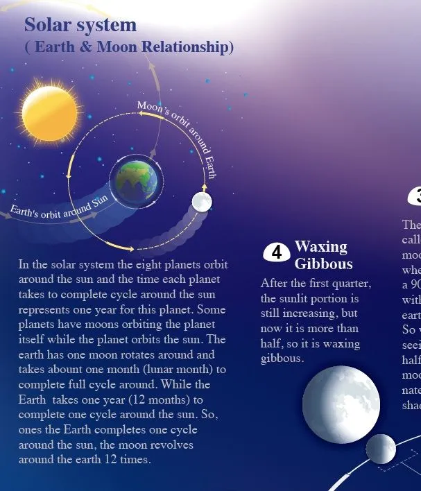 Un poco de Todo: Las 8 fases de la Luna