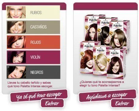 TodoGratisPorInternet: Muestras gratis de Palette Intense Color Cream