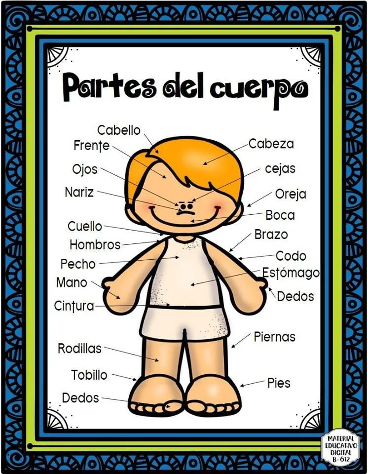 TOMi.digital - Las partes externas de mi cuerpo TOMi.digital - Las partes externas de mi cuerpo
