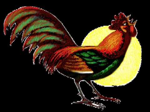 TONO gracioso para celulares "EL GALLO MADRUGADOR " - YouTube