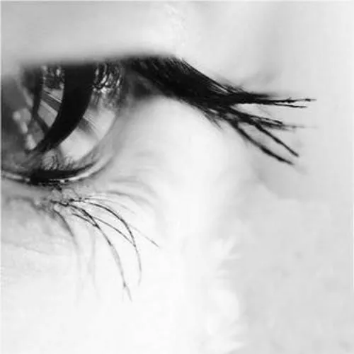 Un tonto con un lápiz: Odio mirar a la gente a los ojos Un tonto con un lápiz: Odio mirar a la gente a los ojos