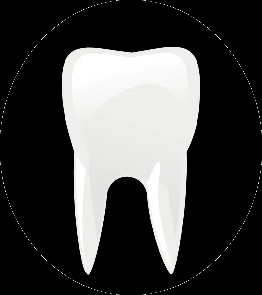 Tooth Clip Art For Commercial Use | Clipart Panda - Free Clipart ...